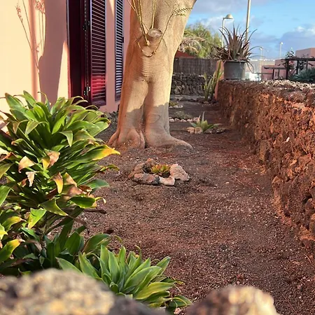 Mahor * 라 올리바