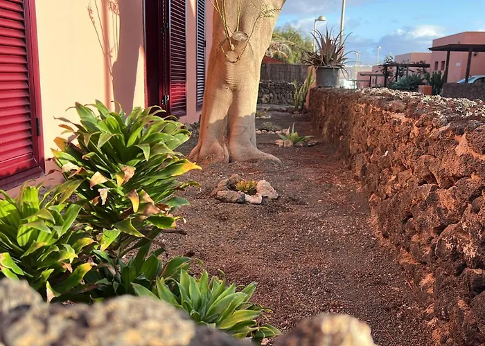 Mahor * Ла-Олива